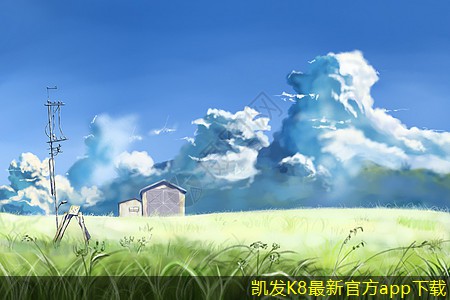視頻會議中的角色分配與責(zé)任