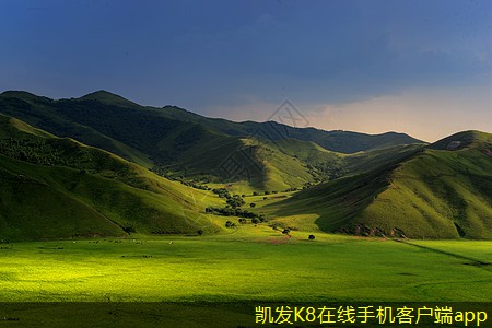 視頻會(huì)議中的隱私與安全問(wèn)題