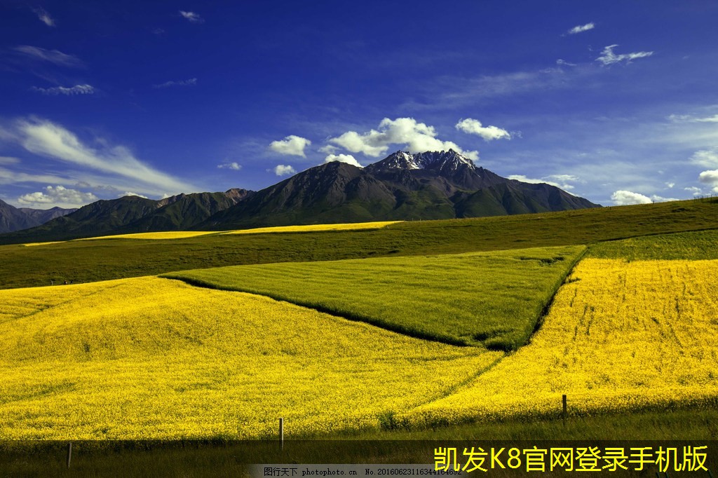 視頻會(huì)議中的領(lǐng)導(dǎo)力表現(xiàn)