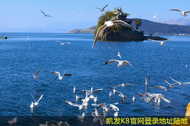 視頻會議后續(xù)工作的關鍵步驟
