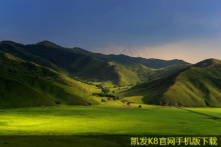 視頻會(huì)議在科研領(lǐng)域的應(yīng)用潛力