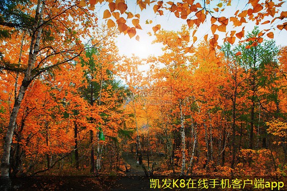 視頻會議如何提升銷售團(tuán)隊的業(yè)績