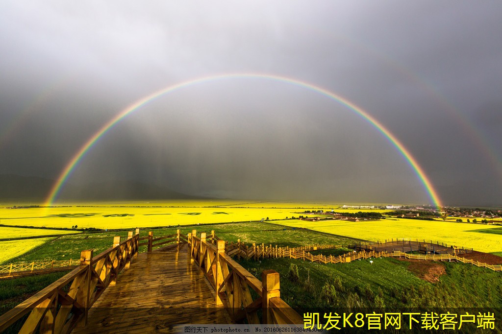 視頻會議對環(huán)境保護的積極影響
