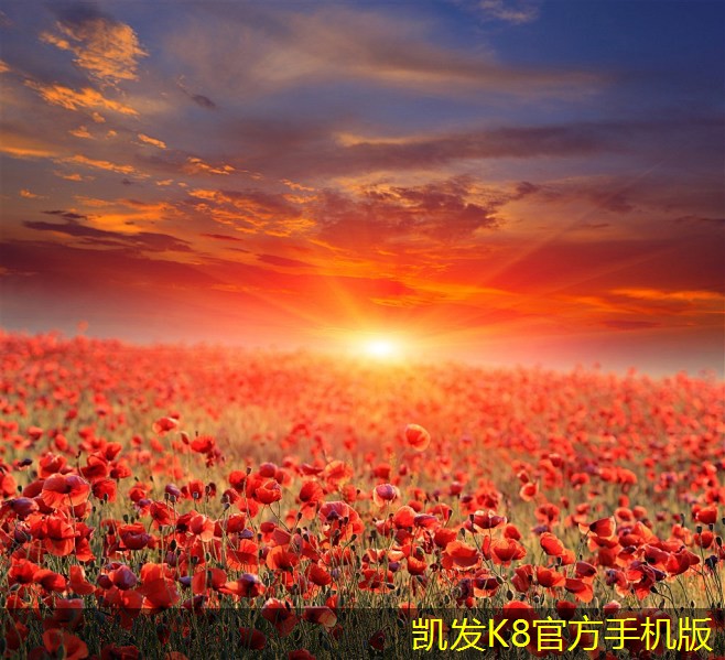 視頻會(huì)議技術(shù)的最新發(fā)展