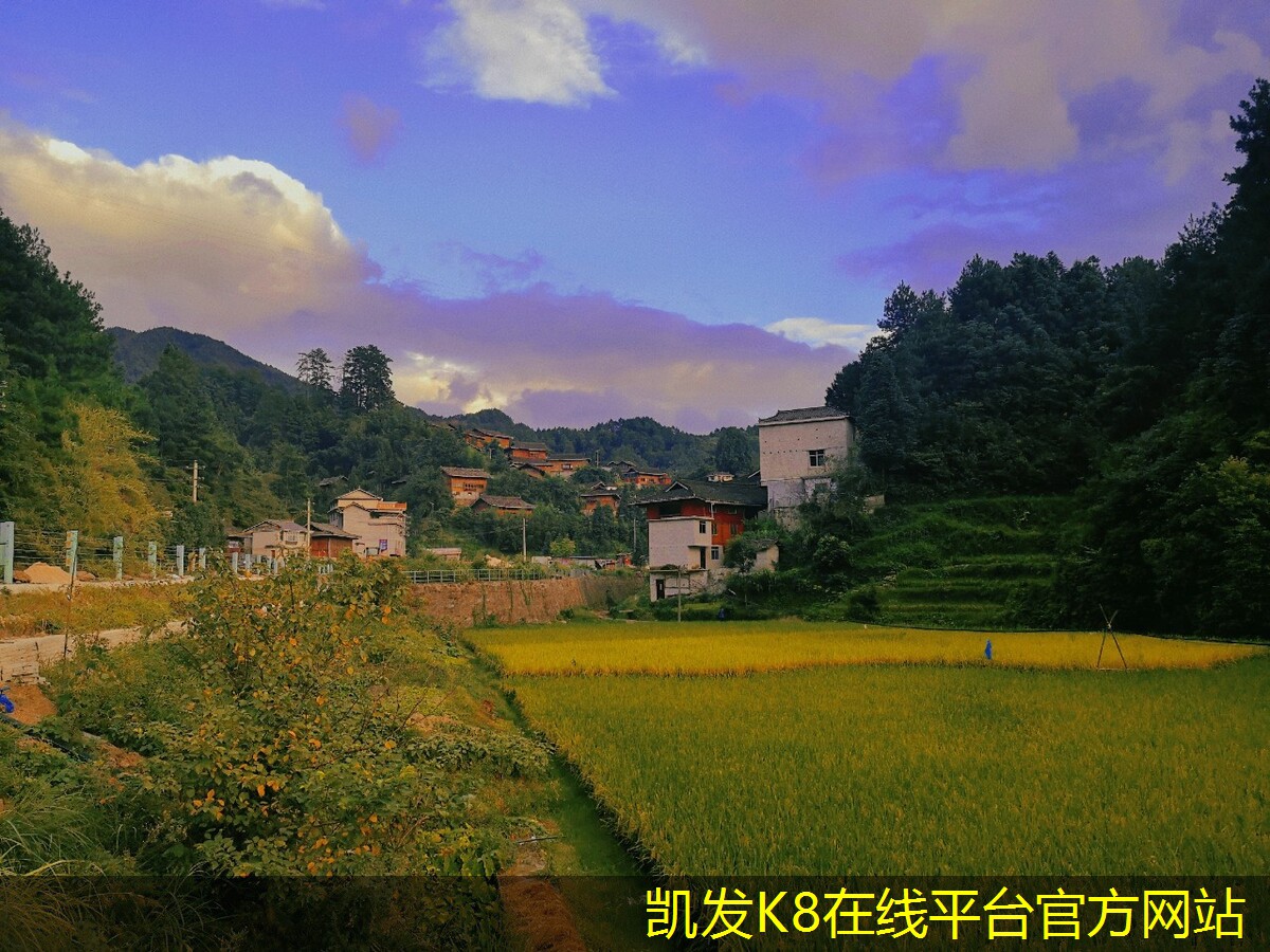 視頻會議改變了我們的工作方式