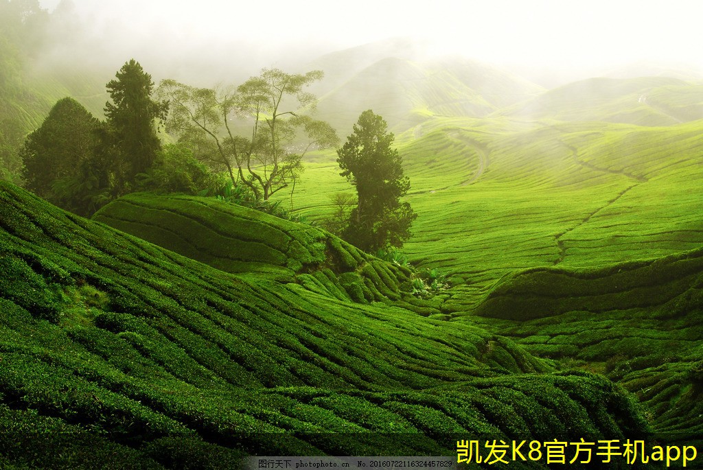 視頻會(huì)議的常見禮儀與規(guī)范