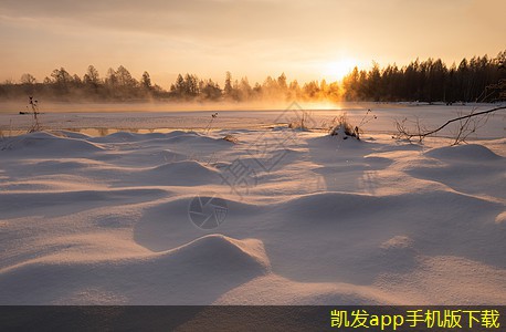 跨國企業(yè)的門禁考勤挑戰(zhàn)與應(yīng)對