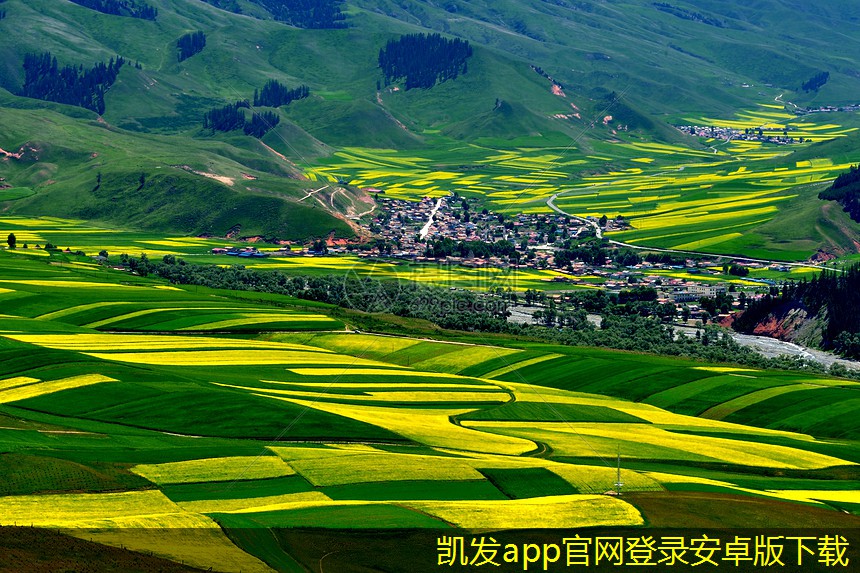 遠(yuǎn)程安防監(jiān)控的操作與維護(hù)