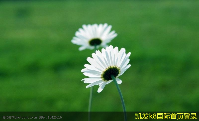 適合夜晚放松的背景音樂(lè)推薦