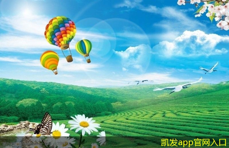 適合視頻會議的設(shè)備推薦