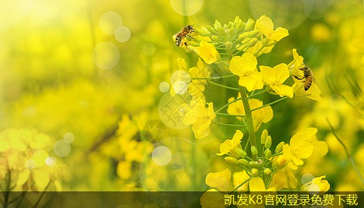選擇停車道閘時需考慮的因素