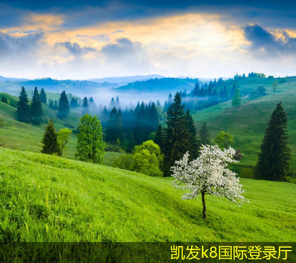 選擇合適的網(wǎng)絡(luò)布線(xiàn)方法