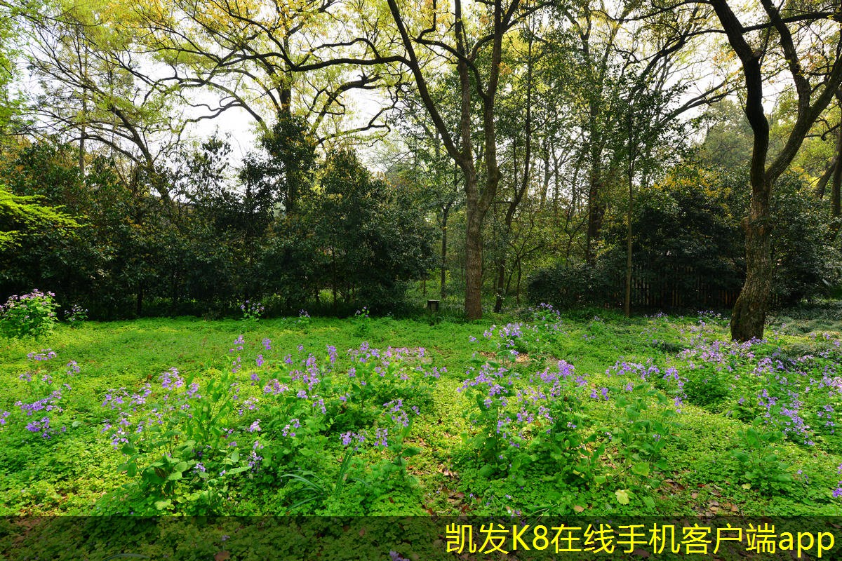 通過(guò)門(mén)禁考勤優(yōu)化員工流動(dòng)管理