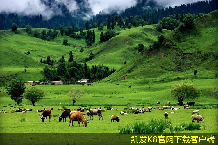 門(mén)禁考勤與績(jī)效考核的有效結(jié)合