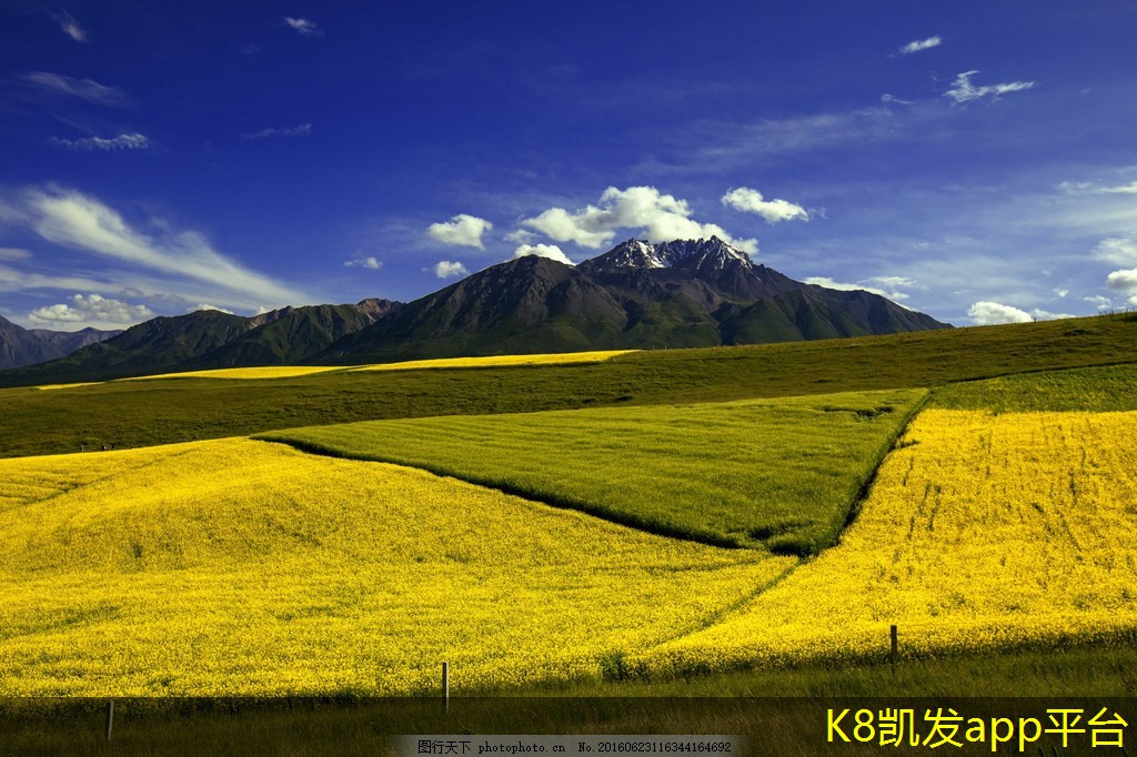 門禁考勤系統(tǒng)對(duì)員工離職管理的支持
