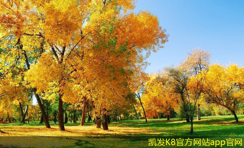 門禁考勤系統(tǒng)提升企業(yè)安全性的策略