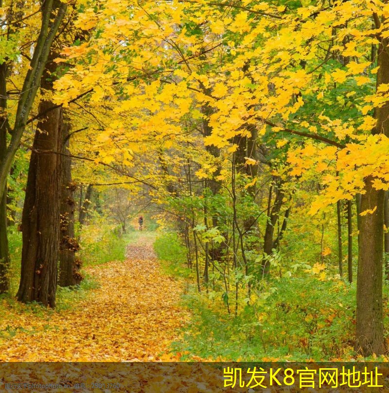 門禁考勤系統(tǒng)故障排除指南