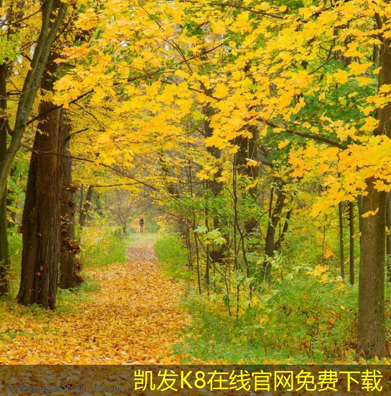 門禁考勤系統(tǒng)的實施步驟與注意事項