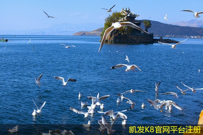 集團電話與傳統(tǒng)電話的區(qū)別