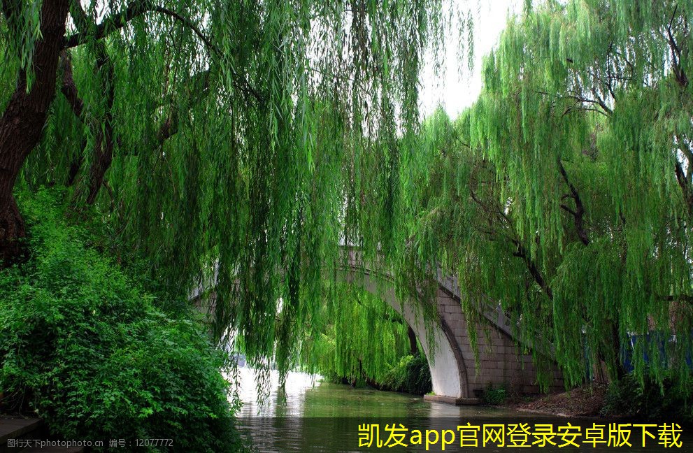 集團電話在銷售團隊中的重要性