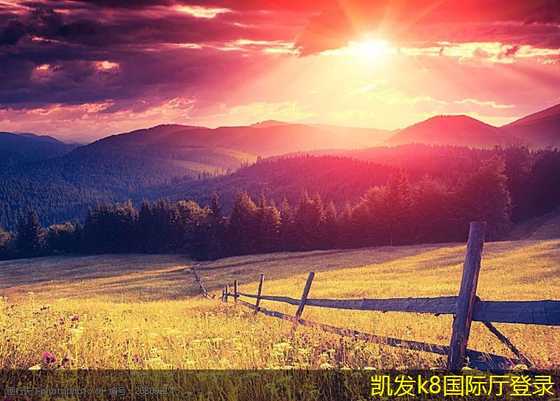集團電話對提升客戶滿意度的作用