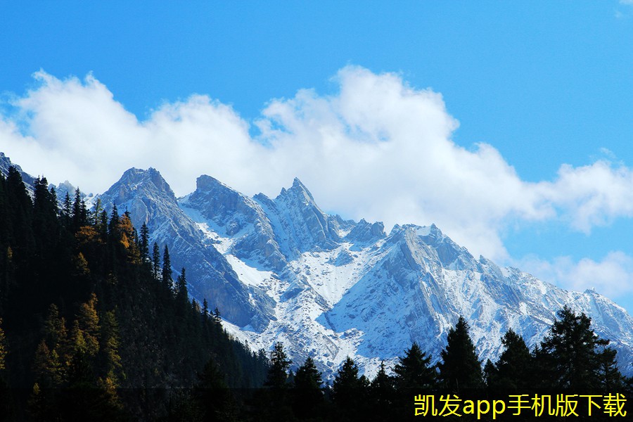 集團(tuán)電話常見(jiàn)問(wèn)題及解決方案