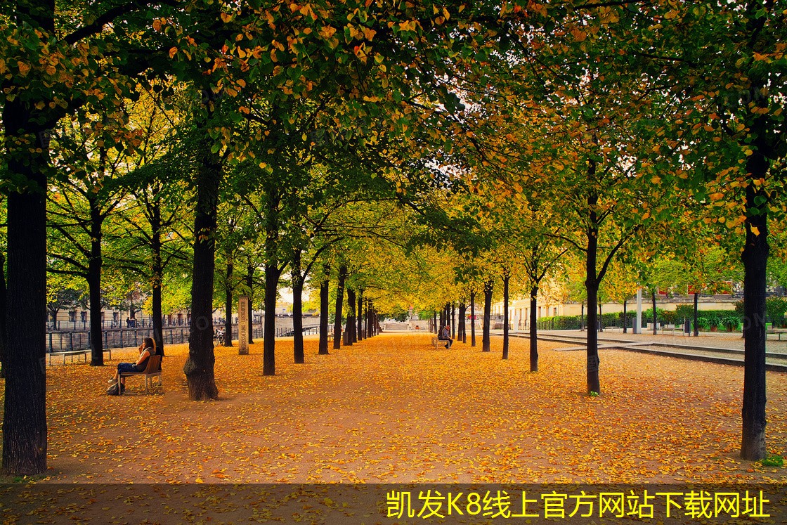 集團(tuán)電話的市場(chǎng)競(jìng)爭(zhēng)現(xiàn)狀