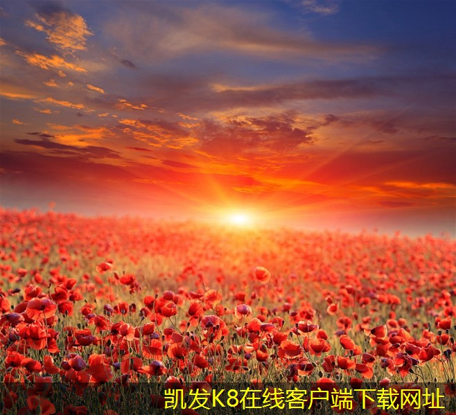 高效網(wǎng)絡(luò)布線的關(guān)鍵要素